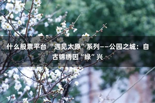 什么股票平台 “遇见太原”系列——公园之城：自古锦绣因“绿”兴