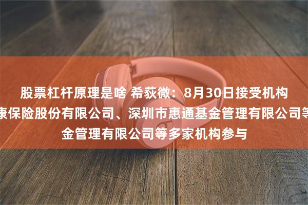 股票杠杆原理是啥 希荻微：8月30日接受机构调研，昆仑健康保险股份有限公司、深圳市惠通基金管理有限公司等多家机构参与