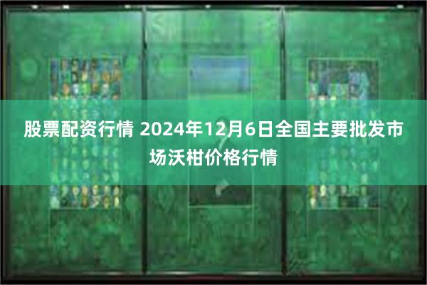 股票配资行情 2024年12月6日全国主要批发市场沃柑价格行情