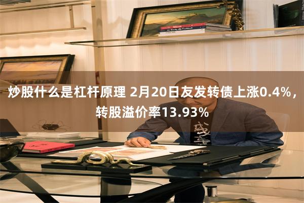 炒股什么是杠杆原理 2月20日友发转债上涨0.4%，转股溢价率13.93%