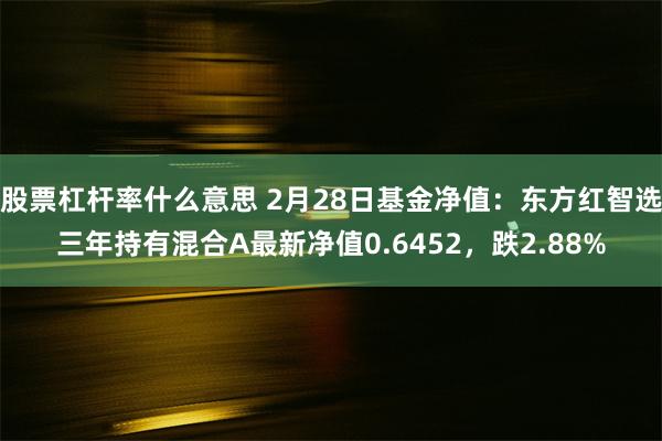 股票杠杆率什么意思 2月28日基金净值：东方红智选三年持有混合A最新净值0.6452，跌2.88%