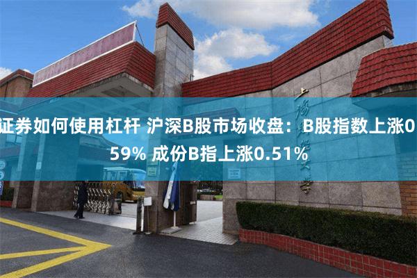 证券如何使用杠杆 沪深B股市场收盘：B股指数上涨0.59% 成份B指上涨0.51%